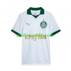 Maillot de Foot Palmeiras Extérieur 2024